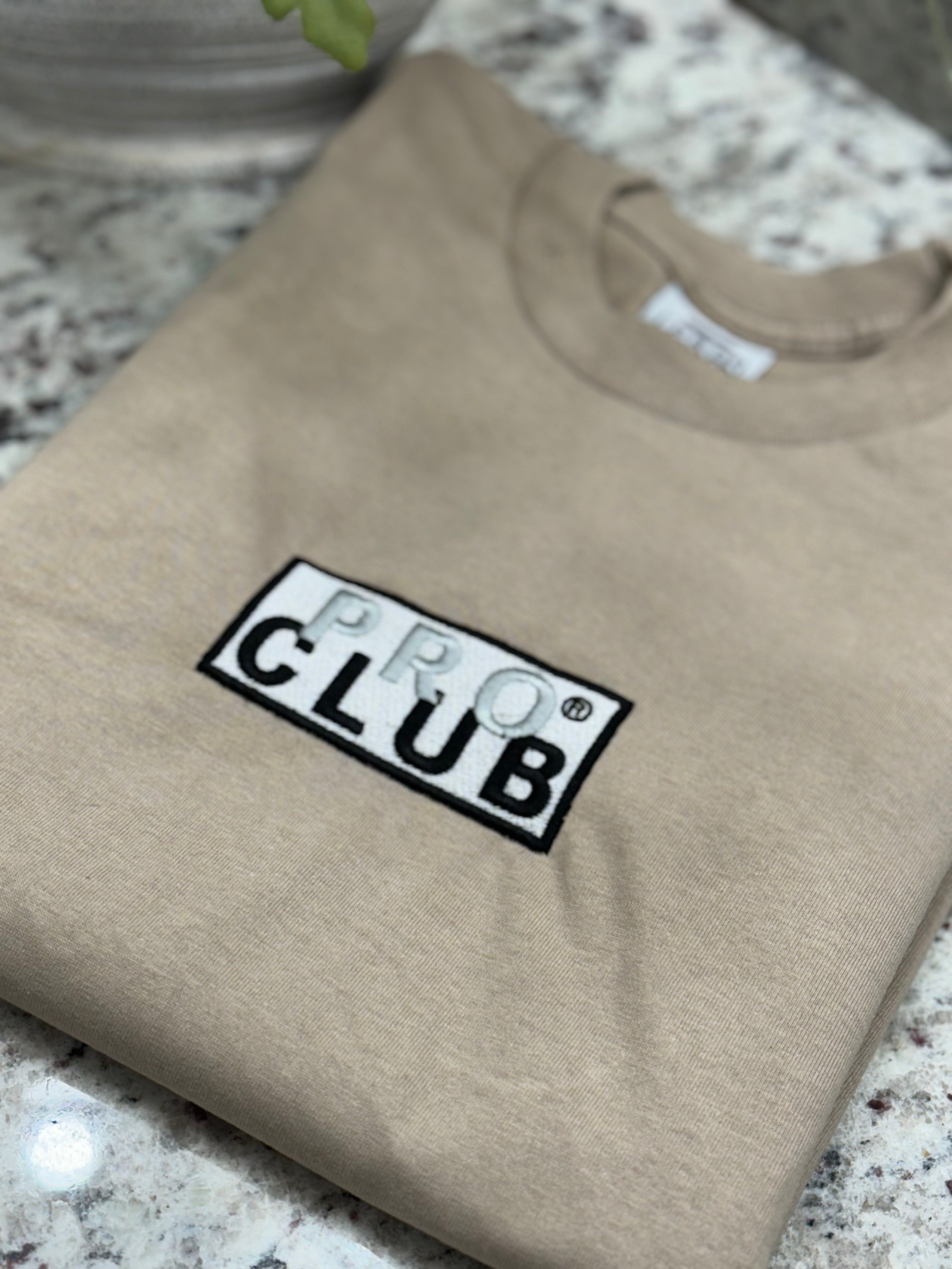 pro club mens heavyweight embroidered box logo t shirt EA Embroidery